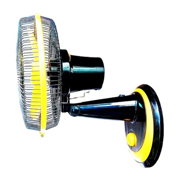 fan