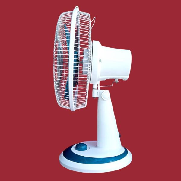 fan