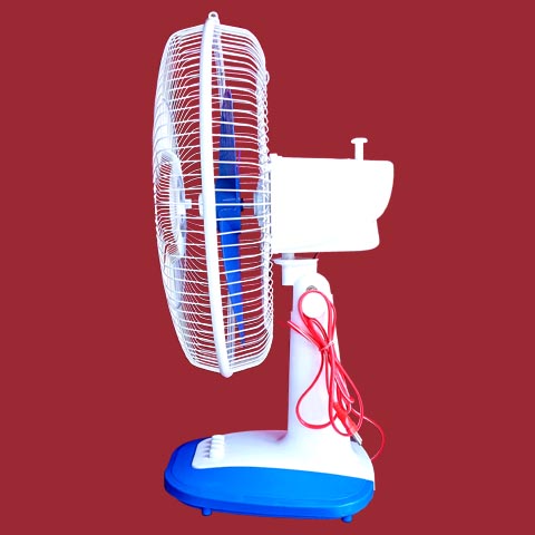 fan